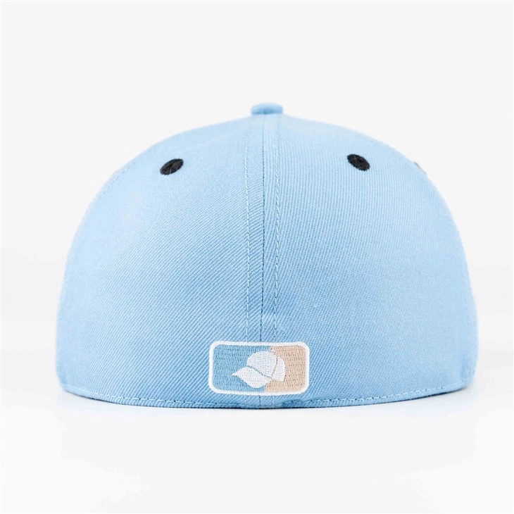 Three Dimensional Embroidered Two-Color Fitted Cap